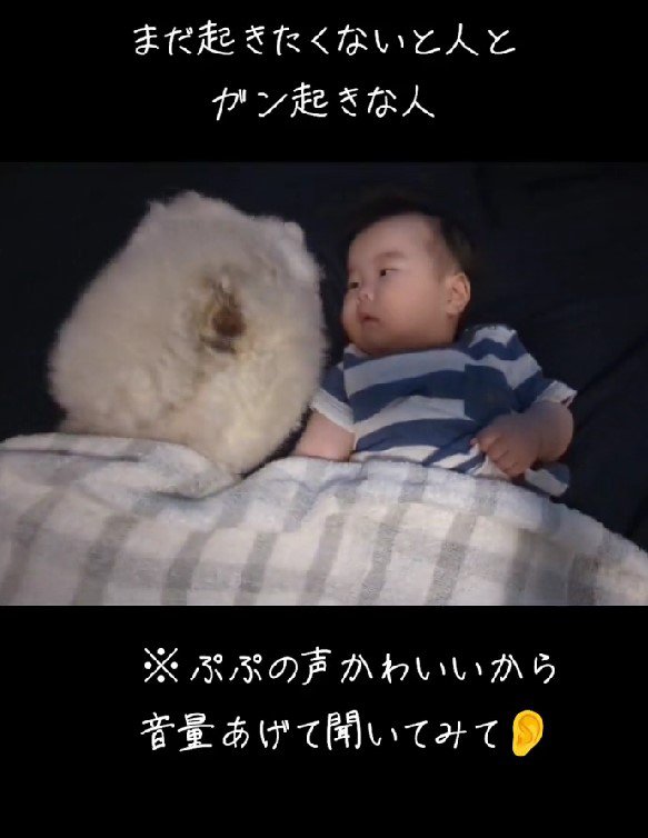 赤ちゃんと犬の寝起きを撮影！