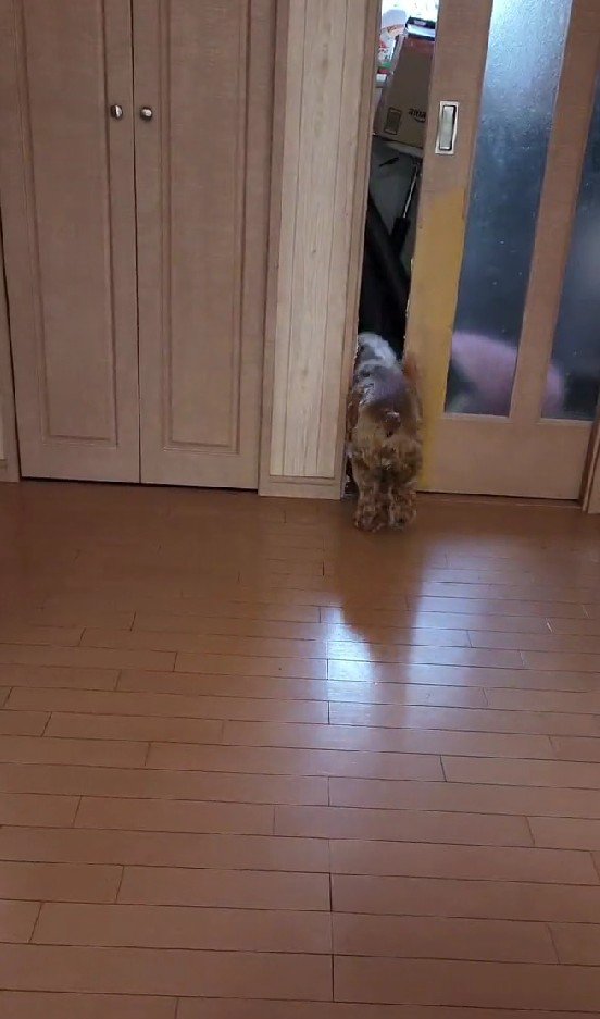 すたこらさっさ