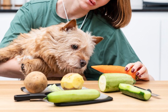 犬に野菜を食べさせる女性