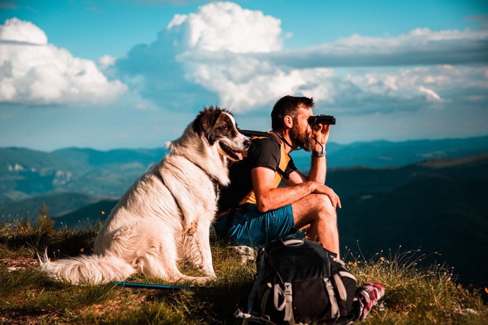 犬と登山している男性