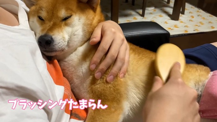 「気持ちいい～」とうっとり…