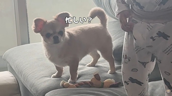 構ってもらえず、しょんぼり…