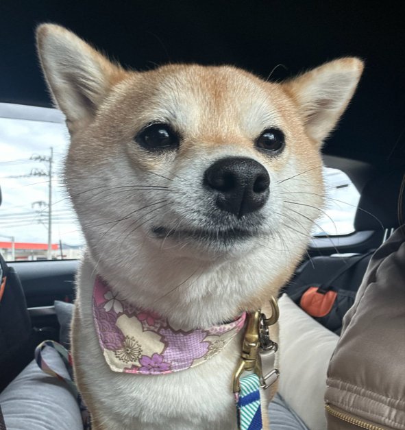 スンッ