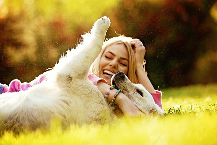 抱き合う大型犬と女性