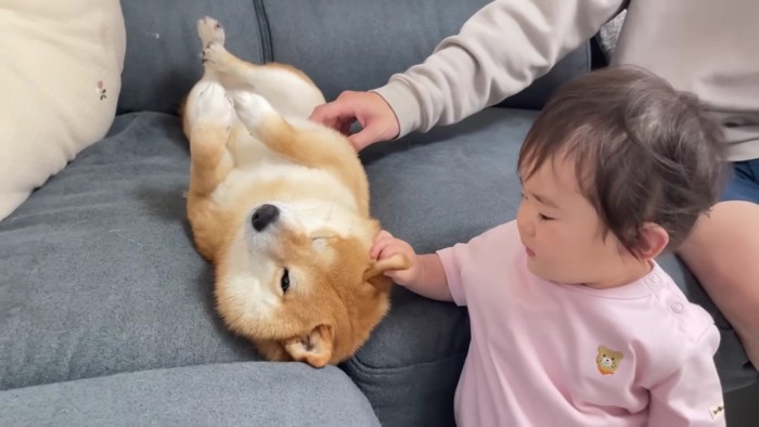美味しそう…