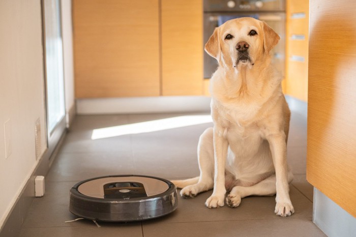 お掃除ロボットと大型犬