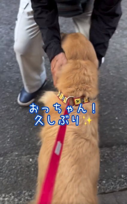 おっちゃんと再会するゆずくん