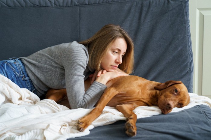 病気の犬と女性