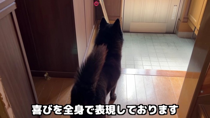 お姉ちゃんが帰ってきた！