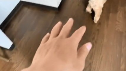 手を伸ばす同居人