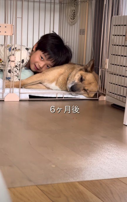 安心できる日常へ…