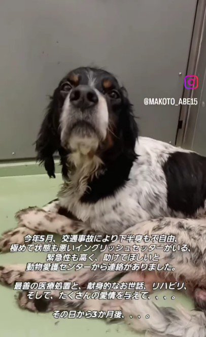 下半身が麻痺