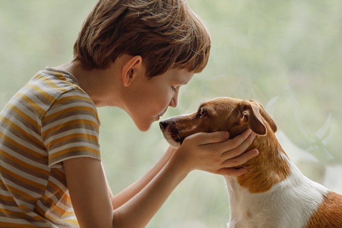 犬にキスする男の子