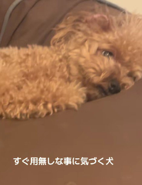 「まったく起こさないでよ~」