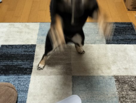 おやつ