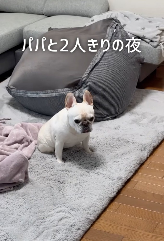 座り込む犬