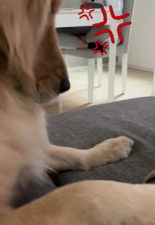 クサさに負けちゃった!?