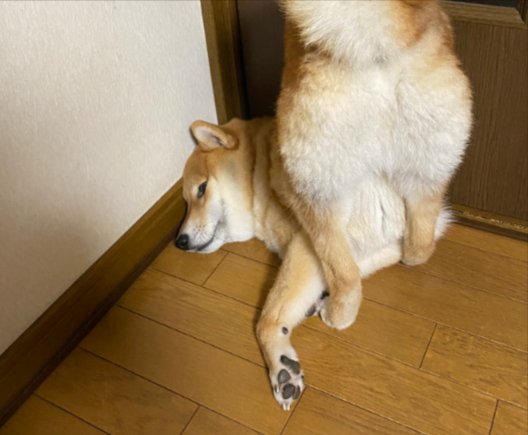 まさかの