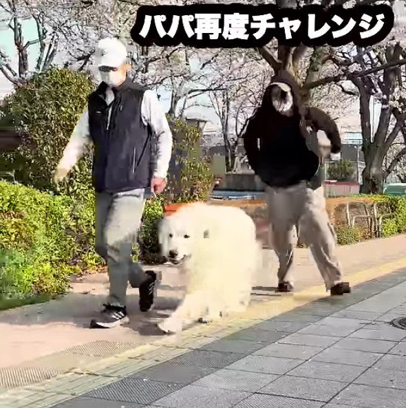 慌てて追いかけて…