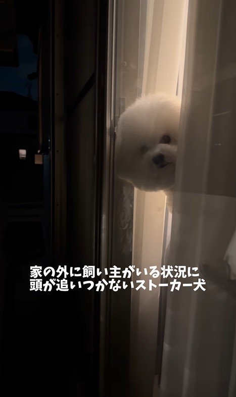 バレないで家を出られるか挑戦7