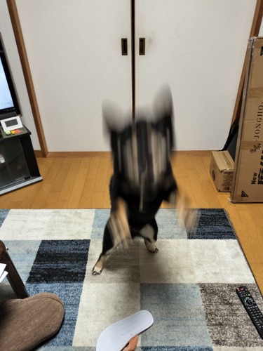 残像