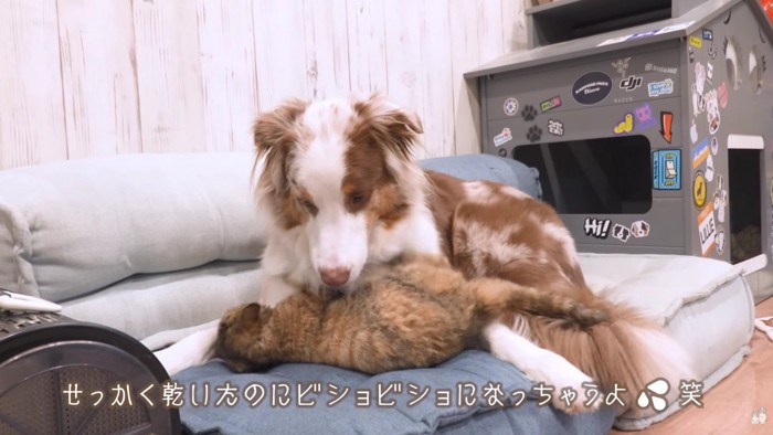 ビショビショになる運命！？