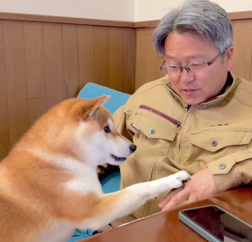 前足でおねだりする柴犬