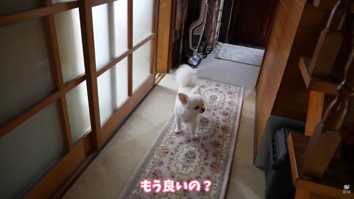 一瞬で出てきた！？