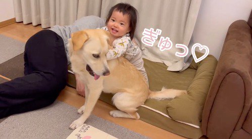 犬に抱きつく赤ちゃん