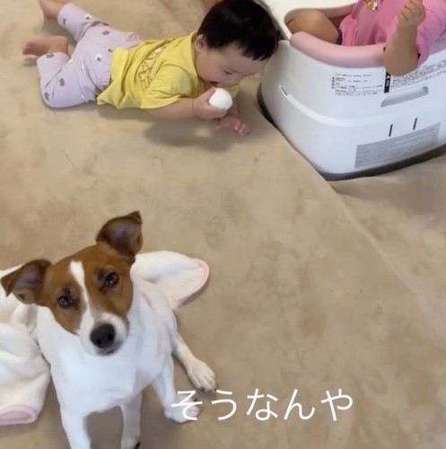 ママの話を真剣に聞きます