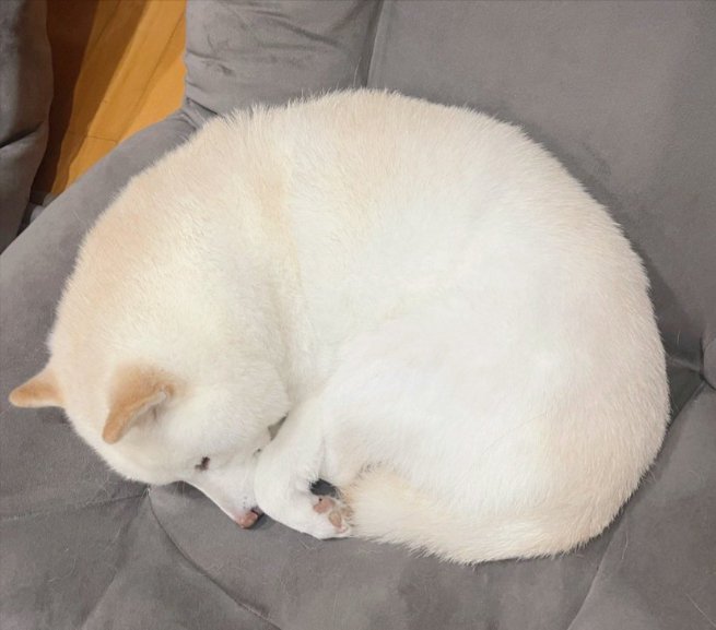 まん丸