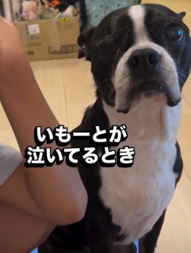 8年後の変化にビックリ！