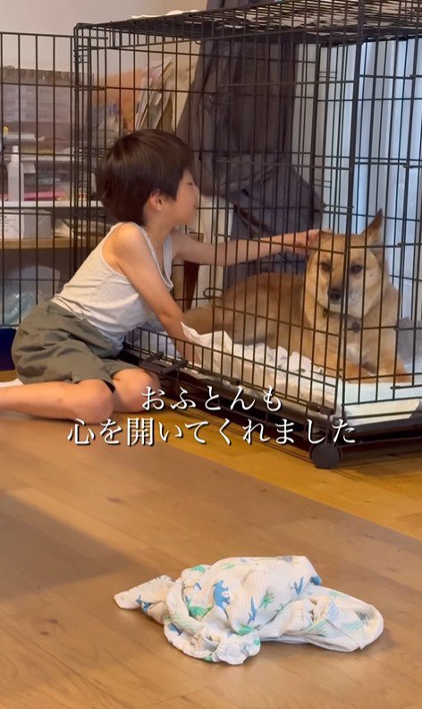 おふとん君の変化6