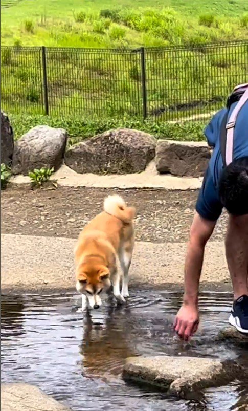 水に入ってしまったまりちゃん