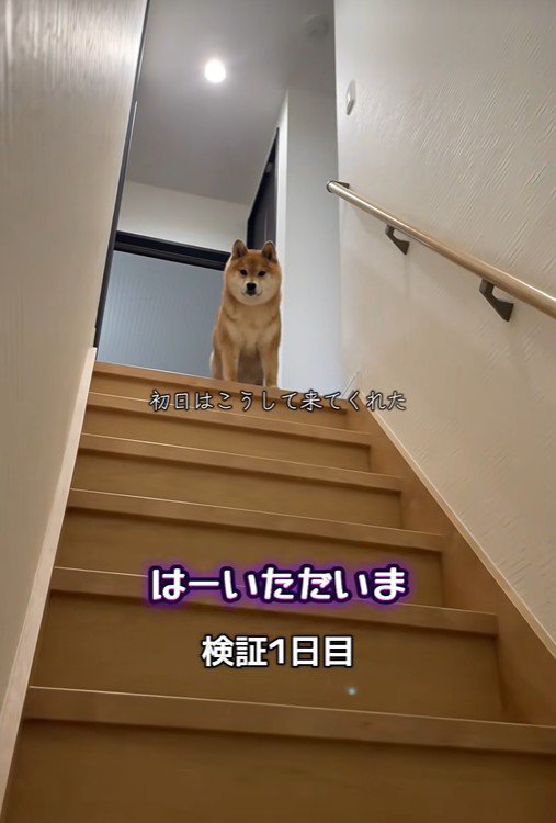 おやつをやめてみたら…？