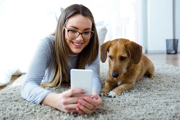 一緒にスマートフォンを見る女性と犬