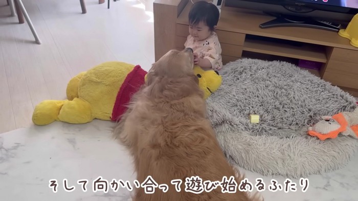 今度はおしゃべり！？