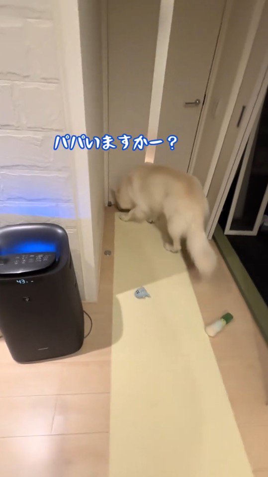 ドアの隙間に鼻を近づける犬
