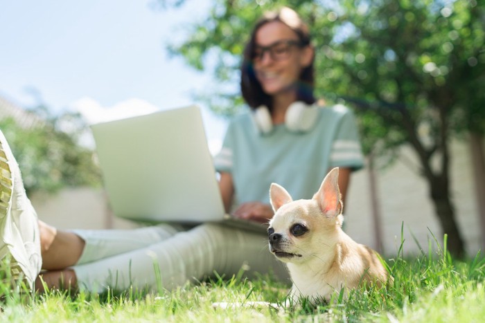 仕事に夢中の女性と犬