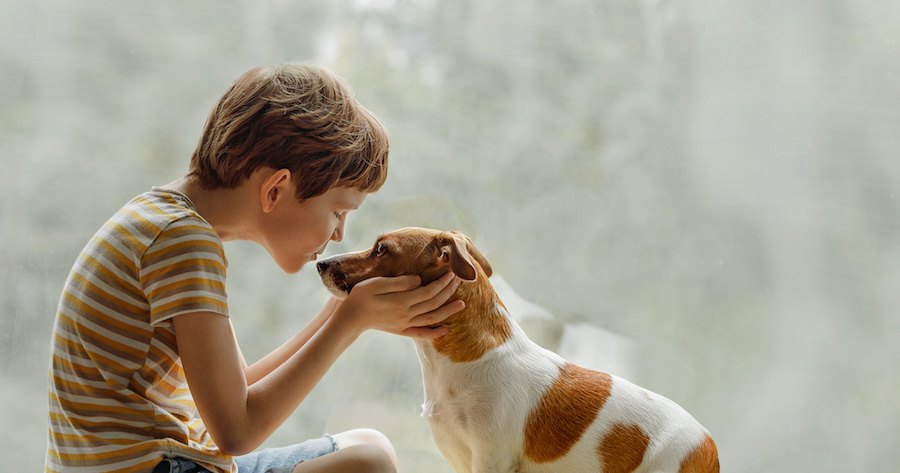 キスをしようとしている飼い主と犬