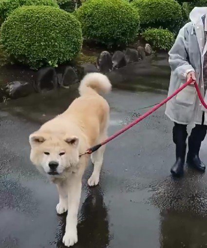 お互いを思いやりながら♡