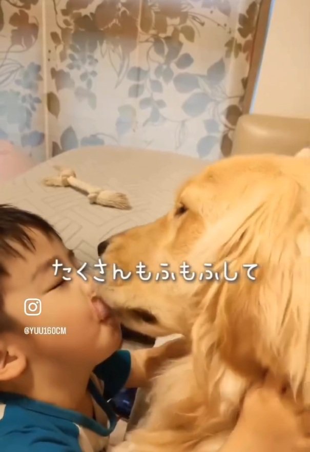 ていちゃんの顔を舐めるエルくん