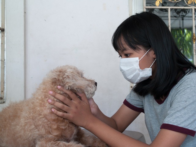 マスクをして犬アレルギーを緩和させる少女