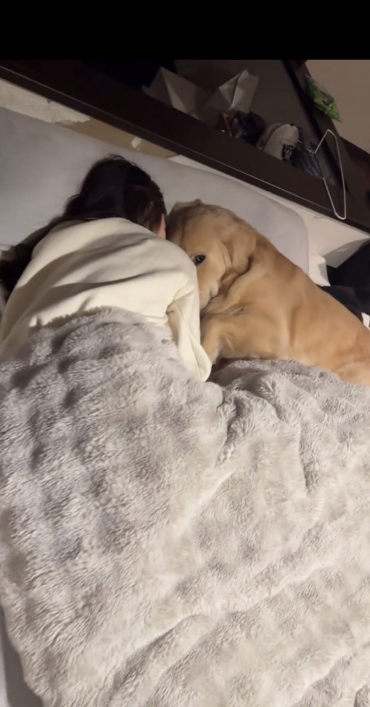 目線だけこちらに向ける犬