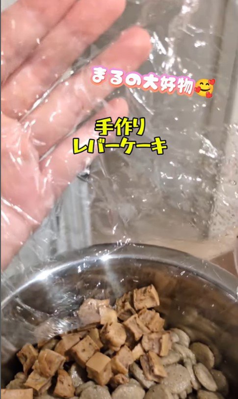 ドッグスクールに行くまる君4