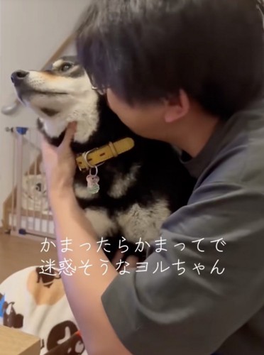 構ってもらえて…迷惑そう?