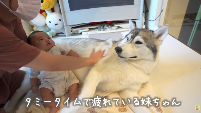 疲れてしまった赤ちゃんは…