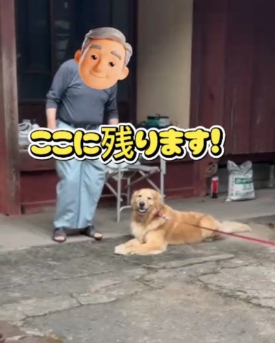 帰宅拒否