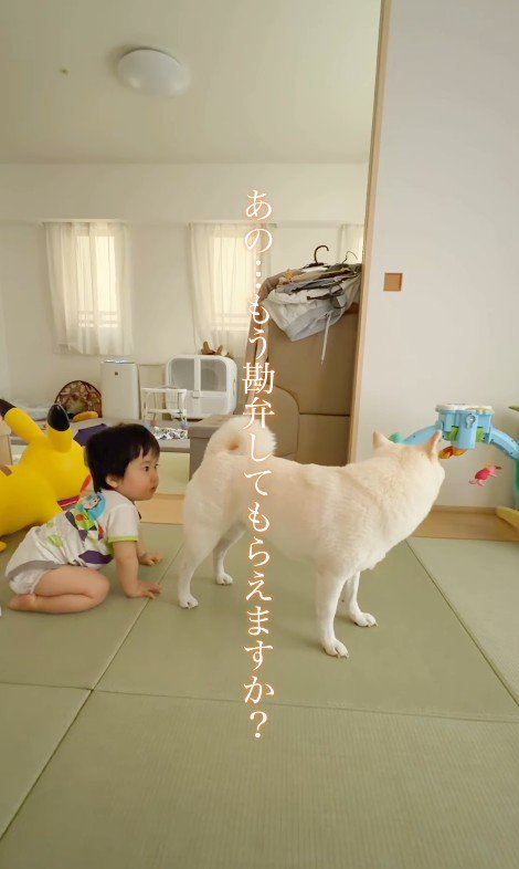 おまめちゃんと赤ちゃん⑩