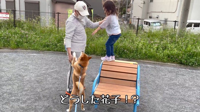 「危ないから降ろして！」